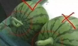 著名的娱乐吃瓜,吃瓜群众揭秘明星幕后故事