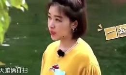 娱乐圈被抓爆料的明星,明星被抓事件盘点