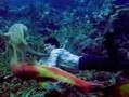 美人鱼高清电影在线观看,探寻奇幻海底世界的浪漫传奇