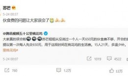 刘先生爆料小爱视频大全,小爱视频大全背后的秘密与精彩瞬间