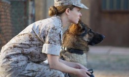 梅根利维在线观看,在线观看，揭秘她的魅力与影响力