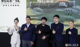 第一书记在线观看,见证乡村振兴的奋斗历程