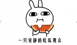 今日吃瓜网红是谁啊,揭秘网络红人的崛起之路