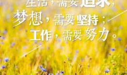 早安最新爆料图片高清版,高清揭秘最新爆料图片背后的惊人真相