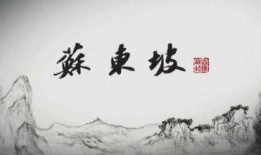 东坡爆料视频大全最新版,最新版揭秘娱乐圈幕后风云