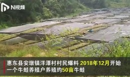 牛蛙养殖场爆料视频大全,爆料视频大全深度解析