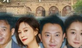 第一书记在线观看,见证乡村振兴的奋斗历程