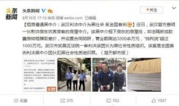武汉黑中介爆料案件最新,揭露行业潜规则，揭开灰色产业链面纱