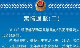 深圳一职爆料新闻事件,校园事件引发社会关注