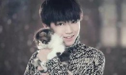 爆料直播间王俊凯视频,独家视频内容大曝光