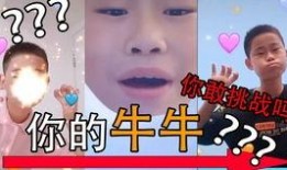 小豆子爆料真假鉴别视频,真假鉴别视频深度解析