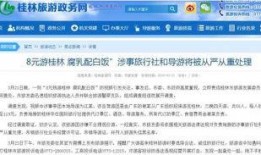 南京导游爆料新闻视频播放,揭秘古城背后的故事