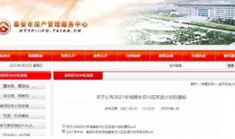 泰安最新爆料,揭秘背后惊人真相