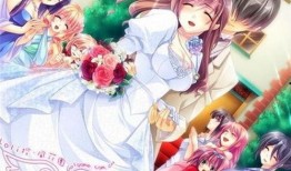 妻管员在线观看西瓜,揭秘现代家庭趣味生活