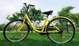 天津自行车爆料视频,行业乱象与品牌真相