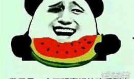 娱乐吃瓜酱努力的意义,娱乐吃瓜酱努力的意义与价值