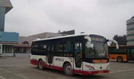 葫芦岛公交车爆料视频最新,真相揭秘！