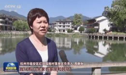 临安央视爆料事件视频,真相揭秘，舆论漩涡中的焦点追踪