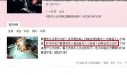 舅舅党最新爆料视频播放,最新爆料视频深度解析