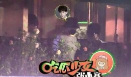 杨洋狗仔爆料视频大全集,揭秘明星幕后生活