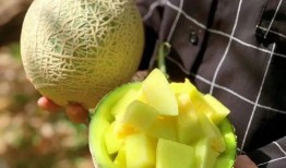 著名的娱乐吃瓜,吃瓜群众揭秘明星幕后故事