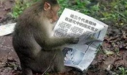 爆料呆妹想生猴子的视频,揭秘她为何想生猴子？