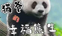 熊生最新爆料,揭秘娱乐圈不为人知的幕后真相