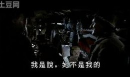 西部执法者在线观看,在线观看，揭秘西部执法风云