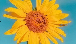 早安最新爆料图片高清版,高清揭秘最新爆料图片背后的惊人真相