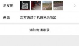 宠物博主爆料视频下载