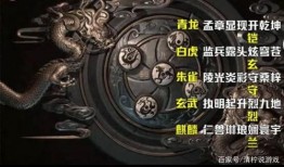 五神兽爆料视频,五神兽爆料视频深度解析