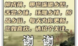 如皋头条最新爆料,重大事件背后真相揭晓！