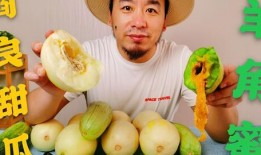 吃瓜群众大多网红,吃瓜群众如何成为舆论焦点