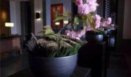 拈花惹草在线观看