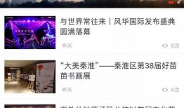 南京导游爆料新闻视频播放,揭秘古城背后的故事