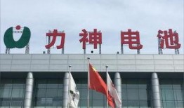 天津特斯拉最新爆料消息,神秘新项目曝光，未来布局再升级