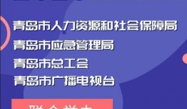 工伤爆料视频大全集,揭示职场安全隐忧与维权之路