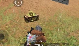 最新国服特效枪爆料