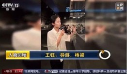 南京导游爆料新闻视频播放,揭秘古城背后的故事