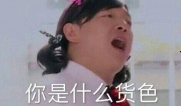 博肖圈内人爆料,揭秘娱乐圈不为人知的幕后故事