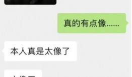 大舅哥最新爆料,揭秘娱乐圈惊人内幕