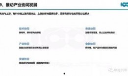 黑天鹅技能爆料最新版,颠覆传统，引领未来