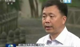临安央视爆料事件视频,真相揭秘，舆论漩涡中的焦点追踪