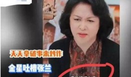 张兰爆料金星视频在线观看,在线观看揭秘幕后秘密