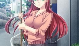 妻管员在线观看西瓜,揭秘现代家庭趣味生活