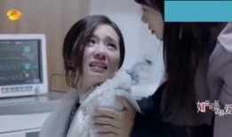 天注定在线观看免费