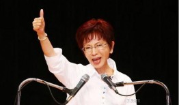 洪秀柱爆料视频大全集最新,揭秘政坛风云与幕后真相